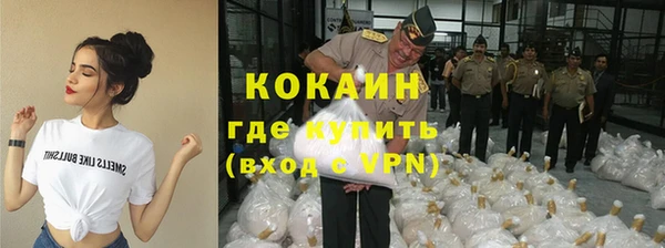 мдпв Краснослободск
