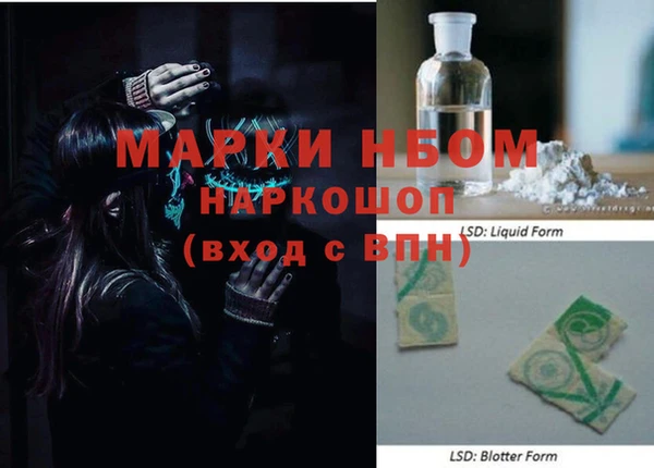 мдпв Краснослободск