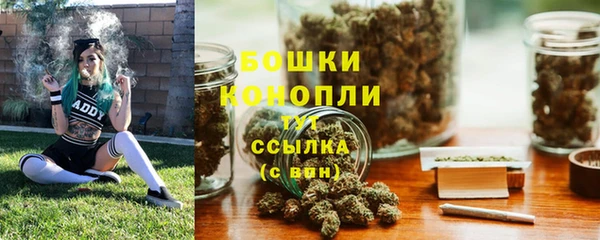 мдпв Краснослободск
