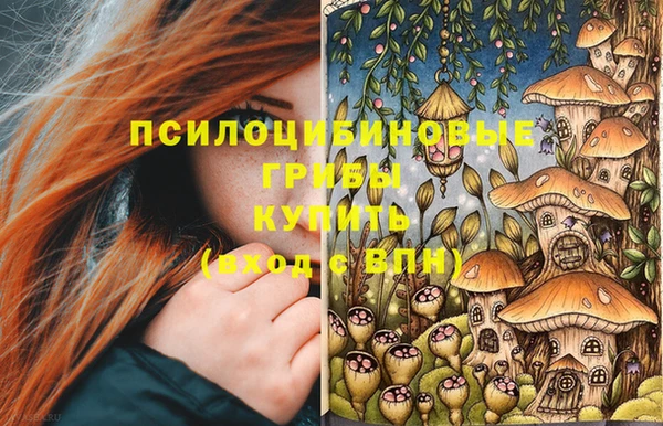 альфа пвп Коряжма
